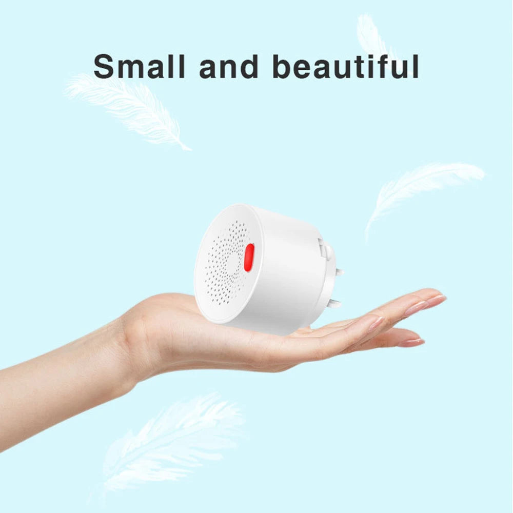 Gas Leakage Detector